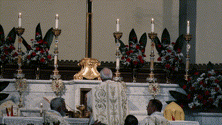 THE LATIN MASS: Why Is Pope Francis Canceling This?
