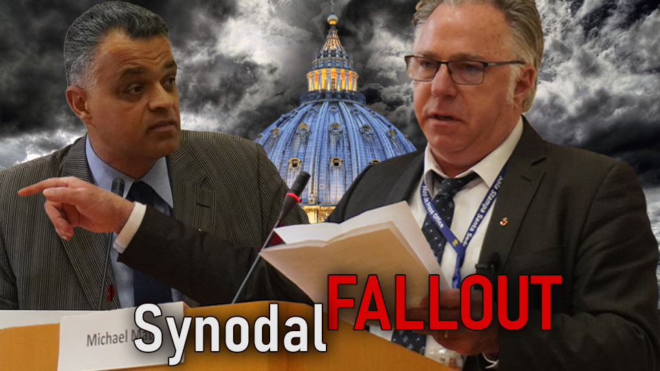 INTERNATIONAL PRESS CONFERENCE: Catholics In Rome Issue Synodal Warning